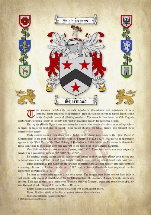 surname-origin-meaning-with-coat-of-arms-family-crest-on-a4-ancient